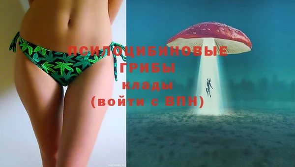 кокаин премиум Ельня