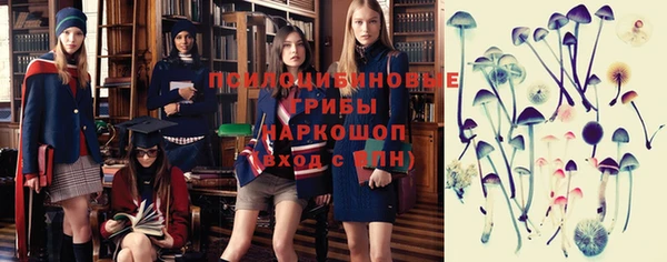 a pvp Осинники